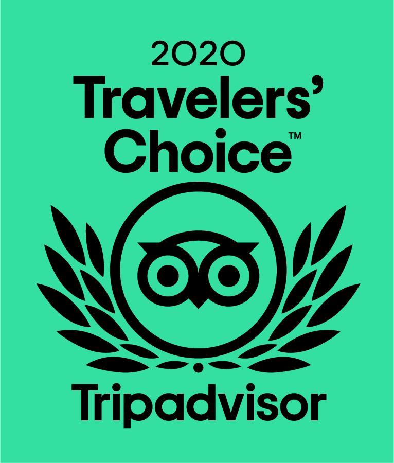 Read more about the article We received Trip advisor ‘s #1 & #2 experience in the whole of Japan, 2022